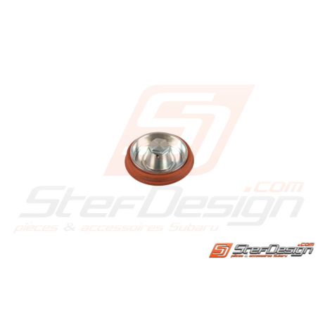 Diaphragme pour wastegate  F38 F41 V44